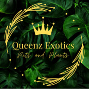 The Queenze