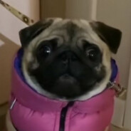 люблю маму