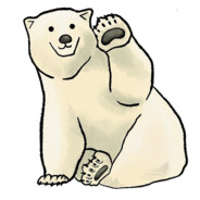 Knut