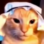 Habibi Catto