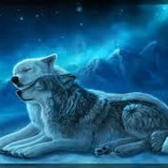 Umbral night