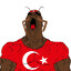 saar