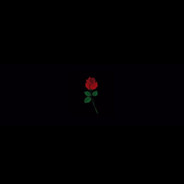 rosemarytkm