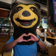 URSO DO AMOR ❤