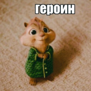 meowrita1