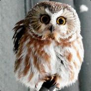 YouObviouslyLoveOwls
