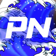 Paul Nation
