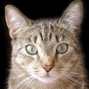 El Gato Diablo