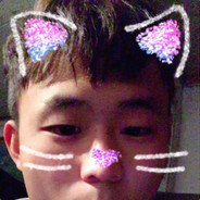 皮皮豪