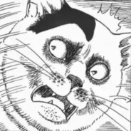 陈罔