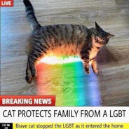 💣