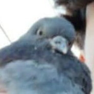 =JimmyBalasLocas=