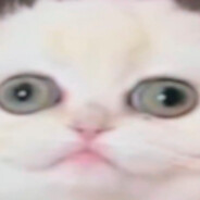 anime dolbaeb