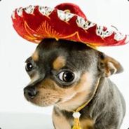 Sňr. Weeniedog