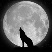 CSGO-SKINS.COM