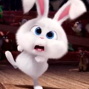 (Rabbit Zone Ryp