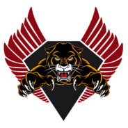 BagZ | PANTHERS