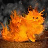 Hotcat