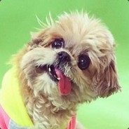Patrickvl