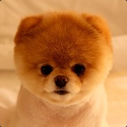 Серёжа Спайс |SS|