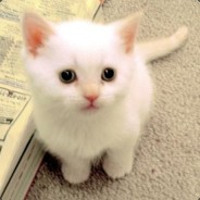 Miko