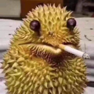 Durian monthong