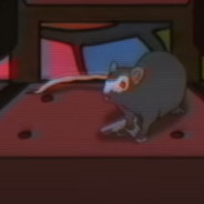 Town Rat Marshall