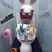 rabbit