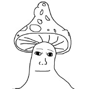 Fungus
