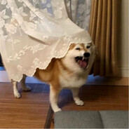 skrrrrrrrrrrrrrrrrrrrrrrr