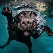 Be