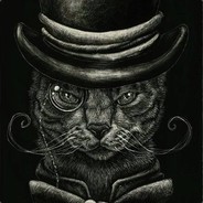 Grey_CAT