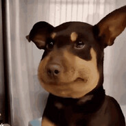 wdawd a dawdad