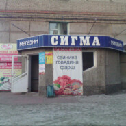 саня шеф