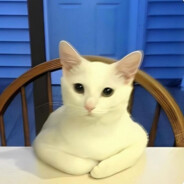 Kitma Boy 🗿