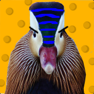 BlueStripedCheeseDuck