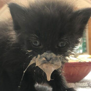 Soup Slurper