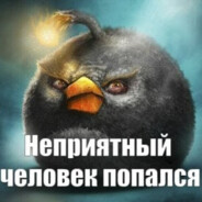 alinadcool52