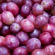 winogronaczerwone