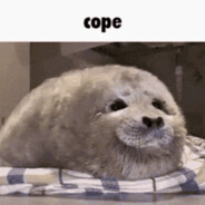 Cuteseals2