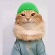 mY