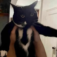 skibidielpablo