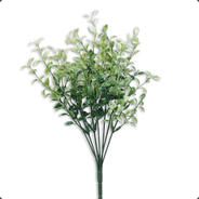 sproutUP