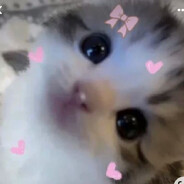 Dia Chae