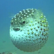 MODE: FUGU