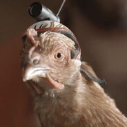 GoProHaehnchen