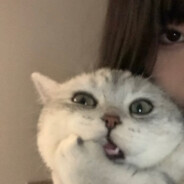 NEEEEEEEEEEEEEEEEEEEEEEEEEEELSON