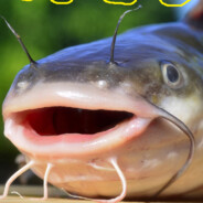 Cypa