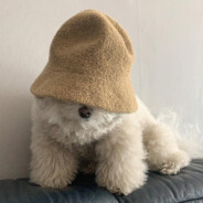 fisher
