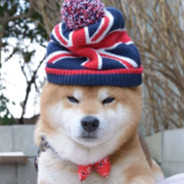DoggyMingo